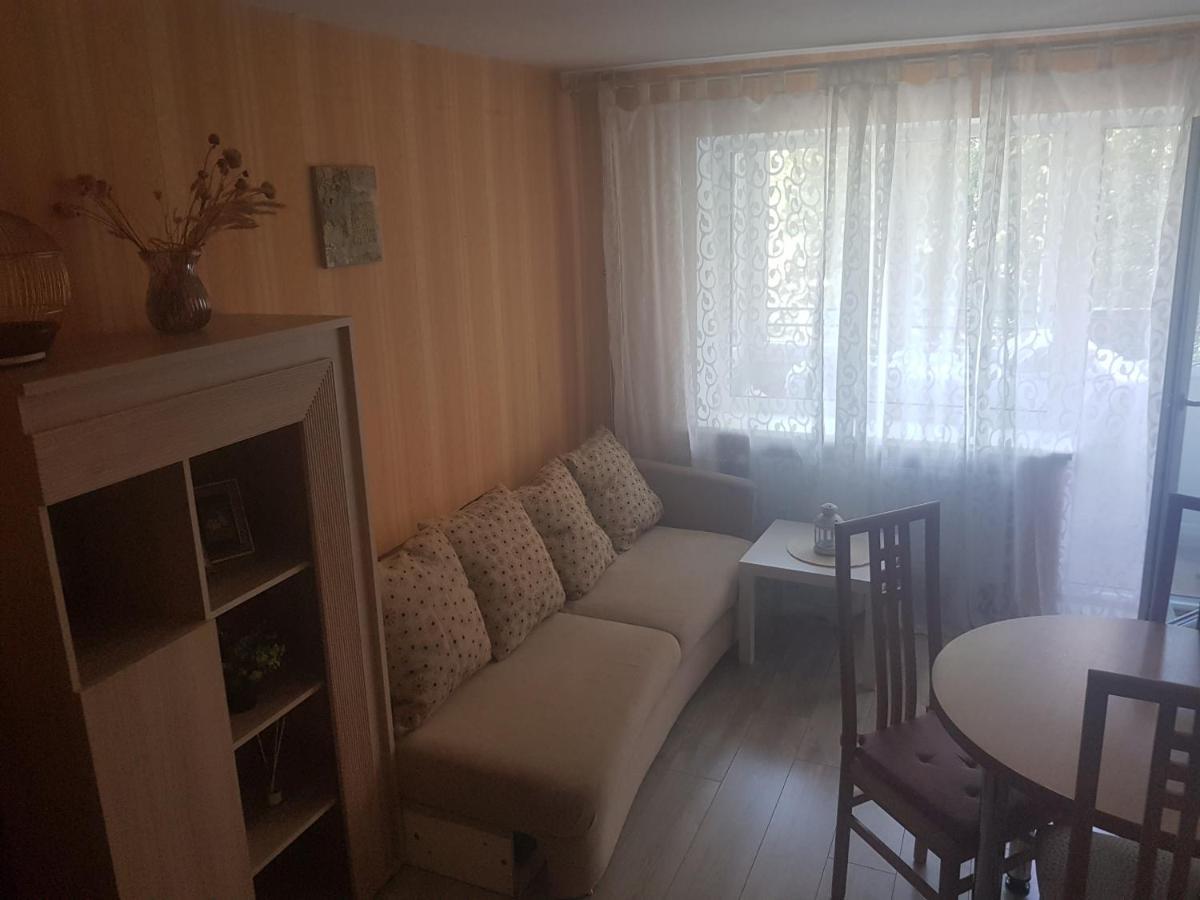 Danes Apartment By The River Клайпеда Екстер'єр фото